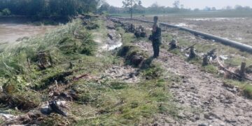 Tanggul Sungai Cimanis Kembali Jebol