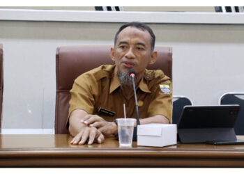 Manajemen Talenta untuk Menciptakan Birokrasi yang Lebih Profesional