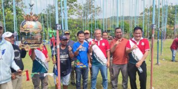 Lomba Perkutut Indonesia Pererat Silaturahmi Komunitas 