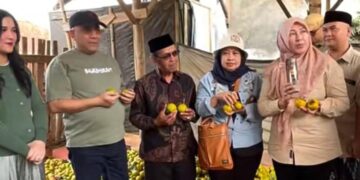 Investor Lirik Kesemek Gunungsirah, Harapan Baru bagi Petani