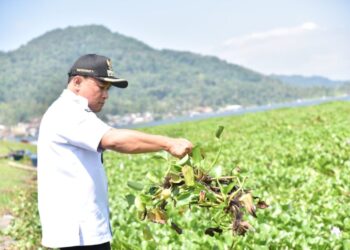 Eceng Gondok Ancam Waduk Darma