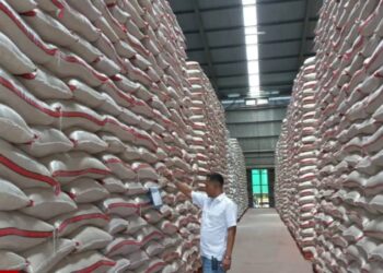 Stok Beras di Majalengka Melimpah Hingga 15.800 Ton, Ketahanan Pangan Dijamin Cukup