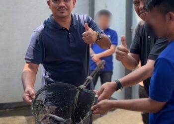 Manfaatkan Area Brandgang, Lapas Majalengka Panen Lele dan Telur Puyuh