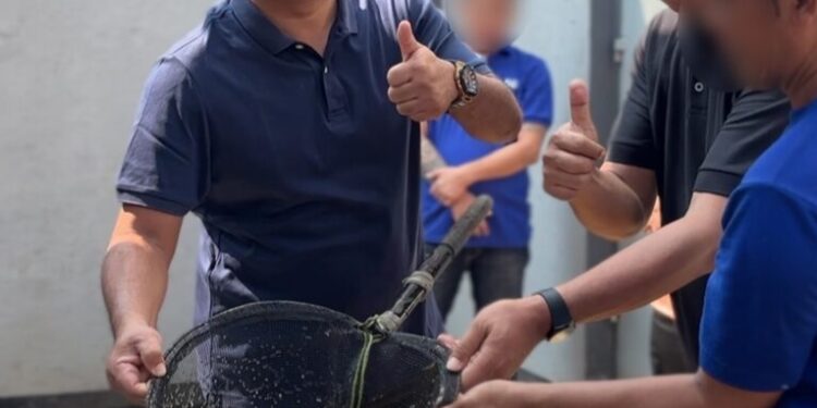 Manfaatkan Area Brandgang, Lapas Majalengka Panen Lele dan Telur Puyuh