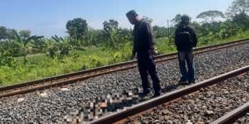 Pria Asal Waled Tewas Tertemper KA Harina di Jalur Rel Citemu