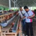 BUMDes Jaya Sakti Kembangkan Usaha Ayam Petelur