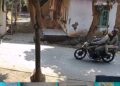 Diduga Sebar Uang untuk Kelabui Pengejar, Perampok BRILink di Guwa Kidul Gondol Rp850 Juta