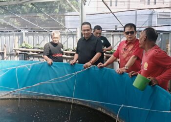 Rokhmin Dahuri Tebar Bantuan Ribuan Bibit Ikan di Kota Cirebon 