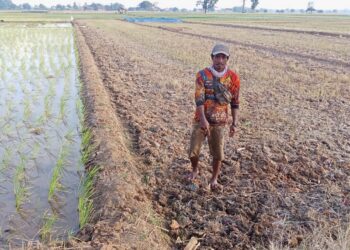 Puluhan Hektar Area Pertanian di Tiga Desa di Kecamatan Ligung Terancam Gagal Tanam