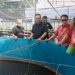 Rokhmin Dahuri Tebar Bantuan Ribuan Bibit Ikan