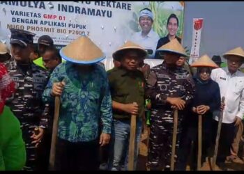Hadiri Tanam Kedelai Indramayu, Urusan Khusus Presiden Dorong Swasembada pangan nasional.