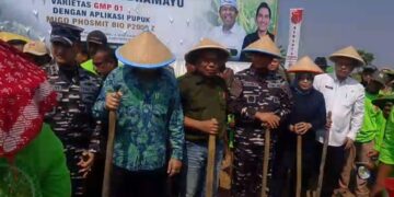 Hadiri Tanam Kedelai Indramayu, Urusan Khusus Presiden Dorong Swasembada pangan nasional.