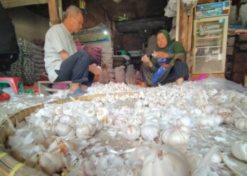 Daya Beli Warga