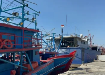 Retribusi Jasa Usaha di TPI Kejawanan Berpotensi Lampaui Target 