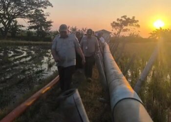 Antisipasi Gagal Panen, Kementan Siapkan 300 Pompa air Untuk Mengairi 6 Ribu Hektare Sawah di Indramayu