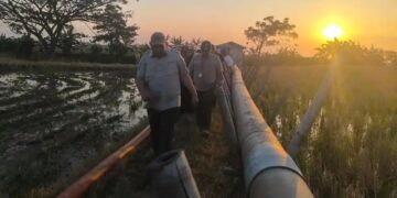 Antisipasi Gagal Panen, Kementan Siapkan 300 Pompa air Untuk Mengairi 6 Ribu Hektare Sawah di Indramayu