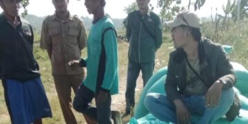 BUMDes Mekarsari Panen 2,4 Ton Gabah, Targetkan Perluasan Lahan 2 Hektare