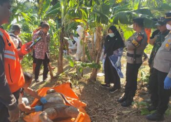 Mayat Pria Tanpa Identitas Ditemukan Mengambang di Sungai Cimanuk, Evakuasi Terkendala Medan Curam