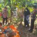 Mayat Pria Tanpa Identitas Ditemukan Mengambang di Sungai Cimanuk, Evakuasi Terkendala Medan Curam
