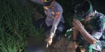Petani di Majalengka Tewas Tersengat Listrik di Sawah