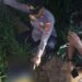 Petani di Majalengka Tewas Tersengat Listrik di Sawah