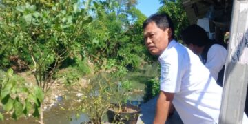 Edo Optimis Pembangunan Tanggul Jabang Bayi Bisa Kurangi Risiko Banjir